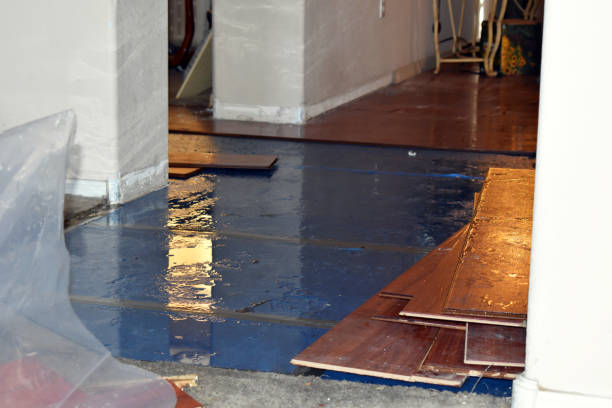Professional Basement Flooding technician working in Evansville, IL